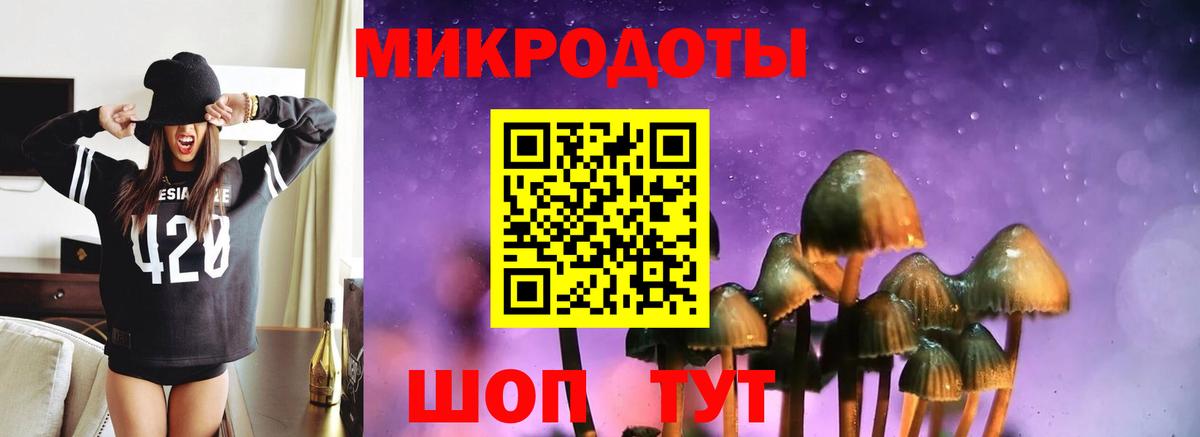 Галлюциногенные грибы Psilocybine cubensis  Вход с VPN  Еманжелинск 